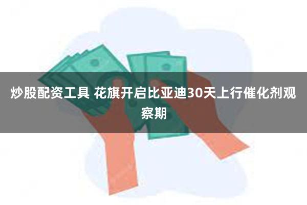 炒股配资工具 花旗开启比亚迪30天上行催化剂观察期