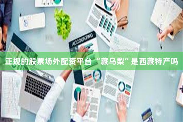 正规的股票场外配资平台 “藏乌梨”是西藏特产吗