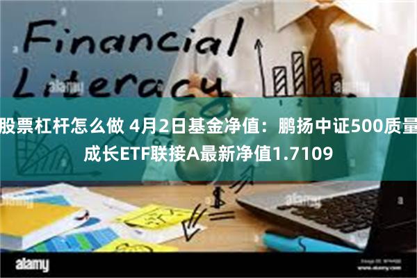股票杠杆怎么做 4月2日基金净值：鹏扬中证500质量成长ETF联接A最新净值1.7109