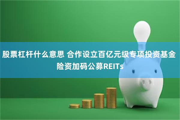股票杠杆什么意思 合作设立百亿元级专项投资基金 险资加码公募REITs