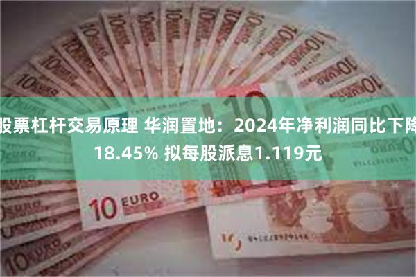 股票杠杆交易原理 华润置地：2024年净利润同比下降18.45% 拟每股派息1.119元