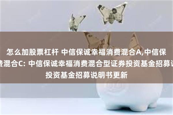 怎么加股票杠杆 中信保诚幸福消费混合A,中信保诚幸福消费混合C: 中信保诚幸福消费混合型证券投资基金招募说明书更新