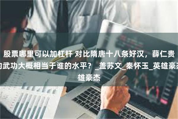 股票哪里可以加杠杆 对比隋唐十八条好汉，薛仁贵的武功大概相当于谁的水平？_盖苏文_秦怀玉_英雄豪杰