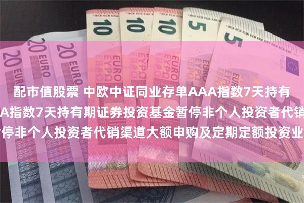 配市值股票 中欧中证同业存单AAA指数7天持有: 中欧中证同业存单AAA指数7天持有期证券投资基金暂停非个人投资者代销渠道大额申购及定期定额投资业务的公告