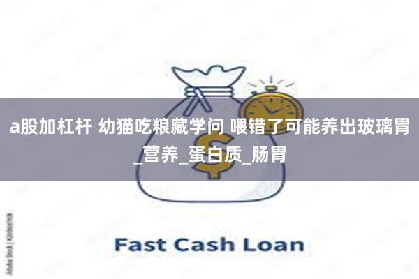 a股加杠杆 幼猫吃粮藏学问 喂错了可能养出玻璃胃_营养_蛋白质_肠胃