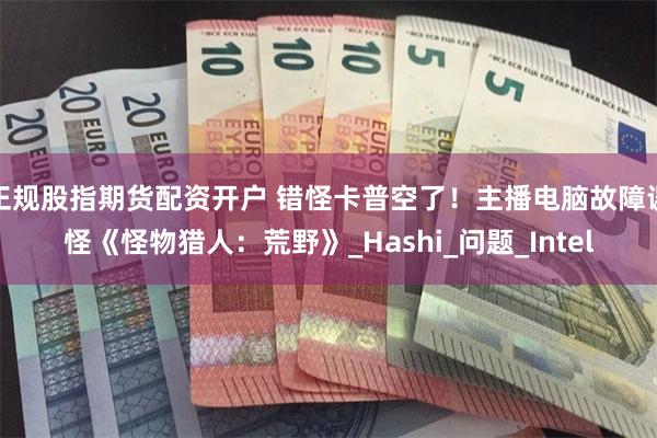 正规股指期货配资开户 错怪卡普空了！主播电脑故障误怪《怪物猎人：荒野》_Hashi_问题_Intel