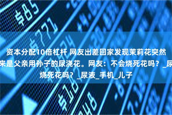 资本分配10倍杠杆 网友出差回家发现茉莉花突然疯长开花，原来是父亲用孙子的尿浇花。网友：不会烧死花吗？_尿液_手机_儿子