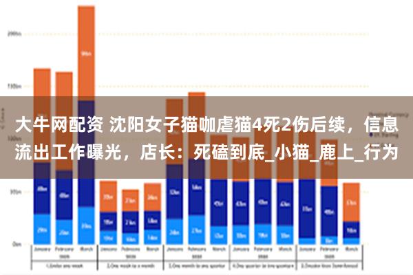 大牛网配资 沈阳女子猫咖虐猫4死2伤后续，信息流出工作曝光，店长：死磕到底_小猫_鹿上_行为