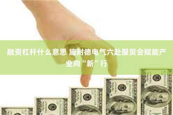 融资杠杆什么意思 施耐德电气六赴服贸会赋能产业向“新”行